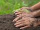 Cajicá fortalece la cultura ambiental con jornada de sensibilización