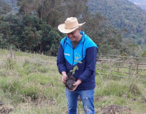 Cerca de 40.000 árboles han sido sembrados en Fusagasugá