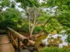 Cuatro días de naturaleza, cultura y actividades para toda la familia en Bogotá