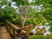 Cuatro días de naturaleza, cultura y actividades para toda la familia en Bogotá