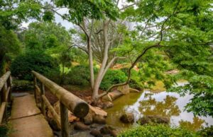 Cuatro días de naturaleza, cultura y actividades para toda la familia en Bogotá