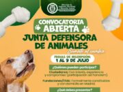 En Madrid buscan ciudadanos y fundaciones para proteger el bienestar animal