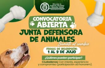 En Madrid buscan ciudadanos y fundaciones para proteger el bienestar animal
