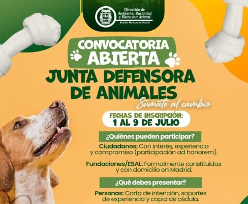 En Madrid buscan ciudadanos y fundaciones para proteger el bienestar animal
