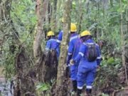 Fenómeno de El Niño aumenta el riesgo de caída de árboles en Cundinamarca