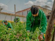 Formación agrícola abrió oportunidad laboral en Madrid