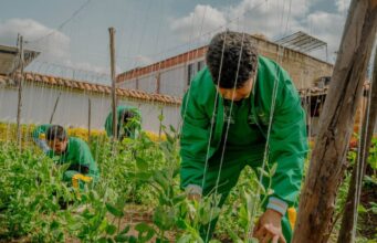 Formación agrícola abrió oportunidad laboral en Madrid