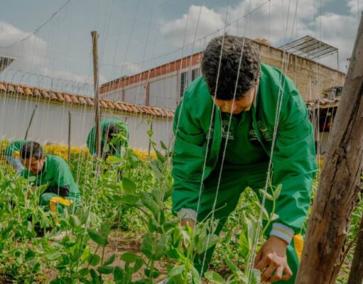 Formación agrícola abrió oportunidad laboral en Madrid