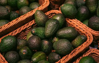 Fusagasugá reunirá al sector aguacatero para impulsar innovación