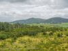 Inauguran el Sendero Ecológico de El Pencal en Mosquera