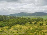 Inauguran el Sendero Ecológico de El Pencal en Mosquera
