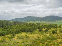 Inauguran el Sendero Ecológico de El Pencal en Mosquera