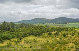 Inauguran el Sendero Ecológico de El Pencal en Mosquera