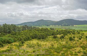 Inauguran el Sendero Ecológico de El Pencal en Mosquera