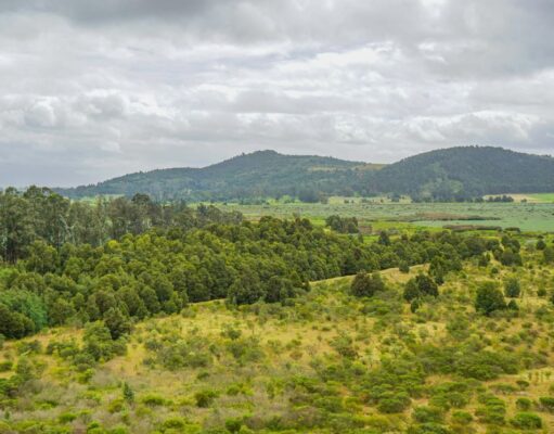 Inauguran el Sendero Ecológico de El Pencal en Mosquera