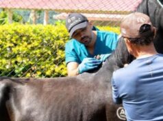 Jornadas veterinarias beneficiaron a La Vega, Vianí y San Juan de Rioseco