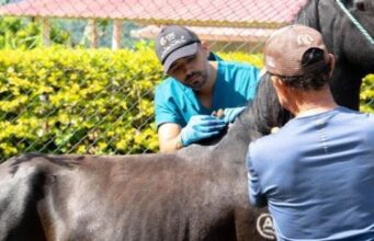 Jornadas veterinarias beneficiaron a La Vega, Vianí y San Juan de Rioseco