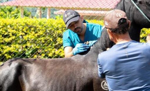 Jornadas veterinarias beneficiaron a La Vega, Vianí y San Juan de Rioseco