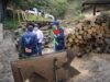 CAR ha elaborado más de 100 informes para valorar daños ambientales