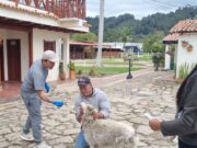 Más de 260 perros y gatos han sido atendidos en Tenjo