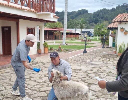 Más de 260 perros y gatos han sido atendidos en Tenjo