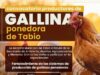 Productores avícolas de Tabio podrán acceder a capacitación y entrega de insumos