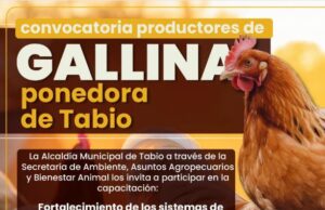 Productores avícolas de Tabio podrán acceder a capacitación y entrega de insumos