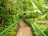 Recorridos, exposiciones y actividades ambientales harán parte de la agenda de julio en el Jardín Botánico