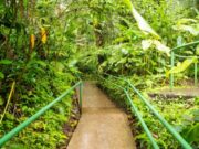 Recorridos, exposiciones y actividades ambientales harán parte de la agenda de julio en el Jardín Botánico