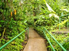 Recorridos, exposiciones y actividades ambientales harán parte de la agenda de julio en el Jardín Botánico