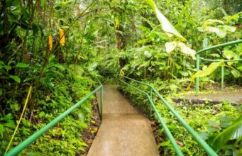 Recorridos, exposiciones y actividades ambientales harán parte de la agenda de julio en el Jardín Botánico
