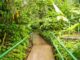Recorridos, exposiciones y actividades ambientales harán parte de la agenda de julio en el Jardín Botánico