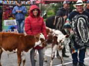 Sibaté celebró la Feria Ganadera de Bradamonte