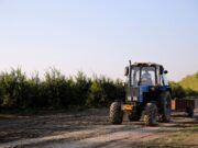 Tabio invita a participar en el desfile del Festival de la Tierra y el Trabajo 2026