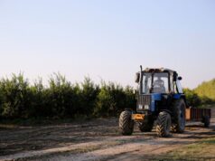 Tabio invita a participar en el desfile del Festival de la Tierra y el Trabajo 2026