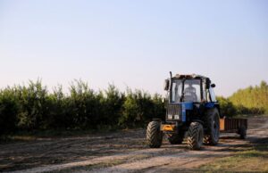 Tabio invita a participar en el desfile del Festival de la Tierra y el Trabajo 2026