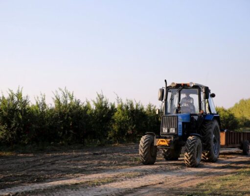 Tabio invita a participar en el desfile del Festival de la Tierra y el Trabajo 2026