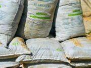 500 bultos de fertilizante beneficiaron cultivos de aguacate y cítricos