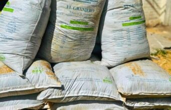 500 bultos de fertilizante beneficiaron cultivos de aguacate y cítricos