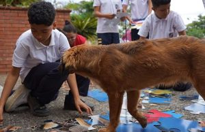 Arbeláez inicia estrategia educativa para promover el cuidado de los animales