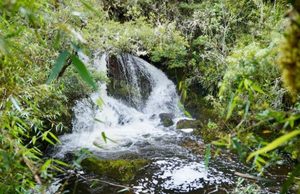 Cundinamarca enfrenta presión sobre el agua ante la llegada de El Niño