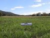 CAR recomienda cinco prácticas para proteger las zonas rurales de Cundinamarca