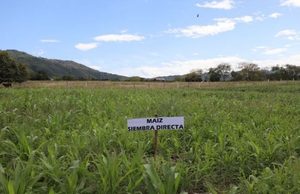 CAR recomienda cinco prácticas para proteger las zonas rurales de Cundinamarca