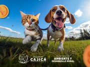 Cajicá promueve el bienestar animal con jornada de adopción