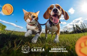 Cajicá promueve el bienestar animal con jornada de adopción