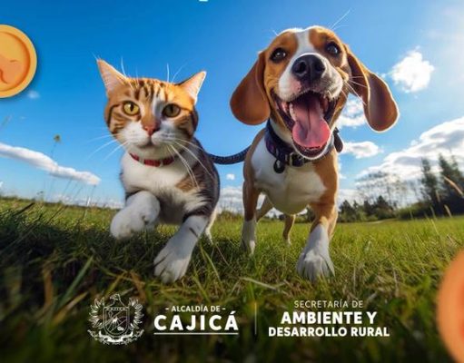 Cajicá promueve el bienestar animal con jornada de adopción