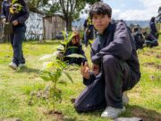 Chía fortalece la recuperación ambiental