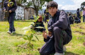 Chía fortalece la recuperación ambiental