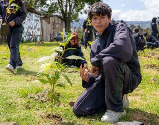 Chía fortalece la recuperación ambiental