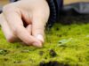 Chía implementa nuevo sistema para monitorear especies nativas